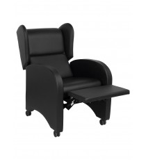 Cadeirão De Reclinação Manual Com Rodas